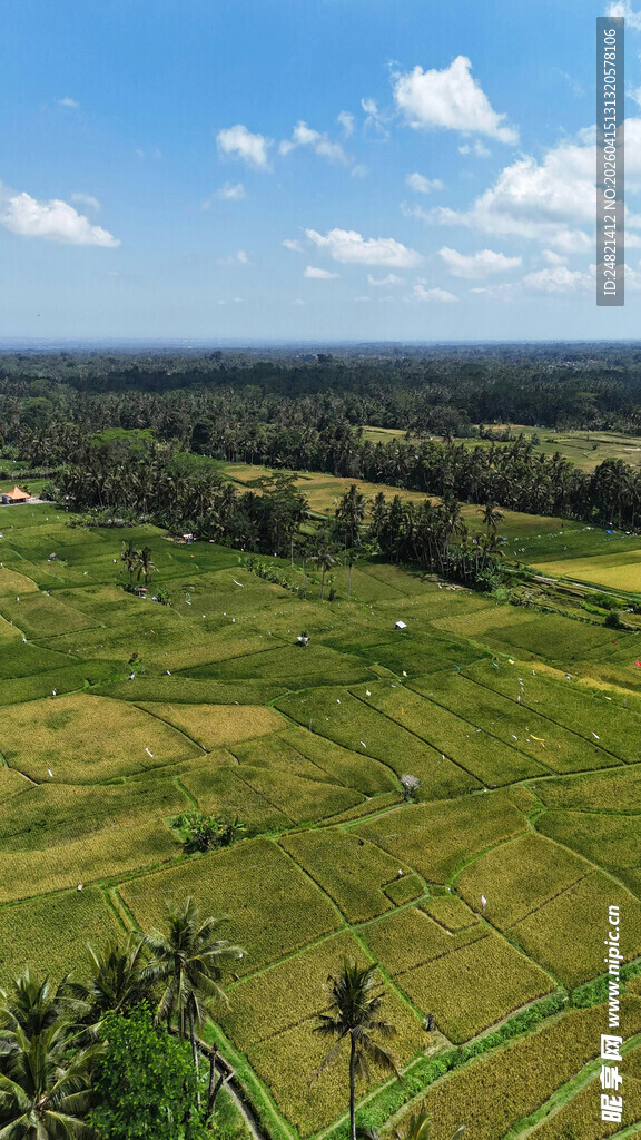 田园风光俯瞰图