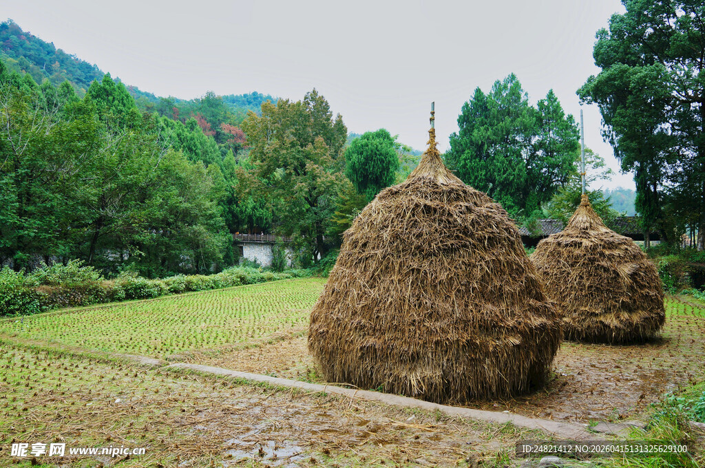 田野中的巨大干草堆