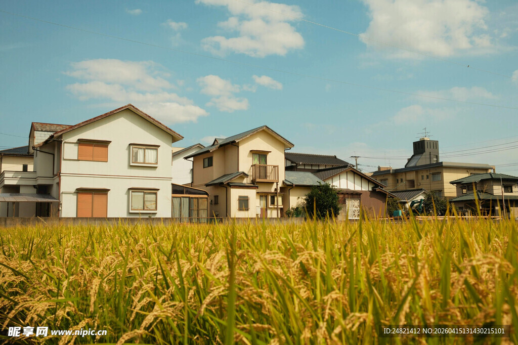 田野旁的温馨住宅