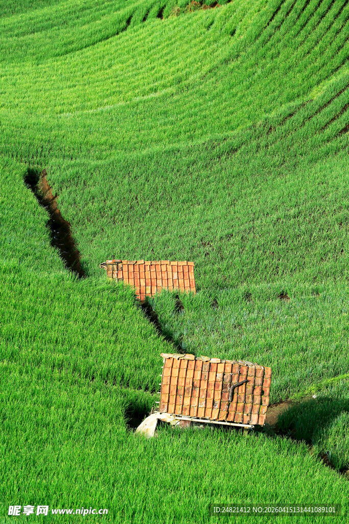 草原上的木质置物架