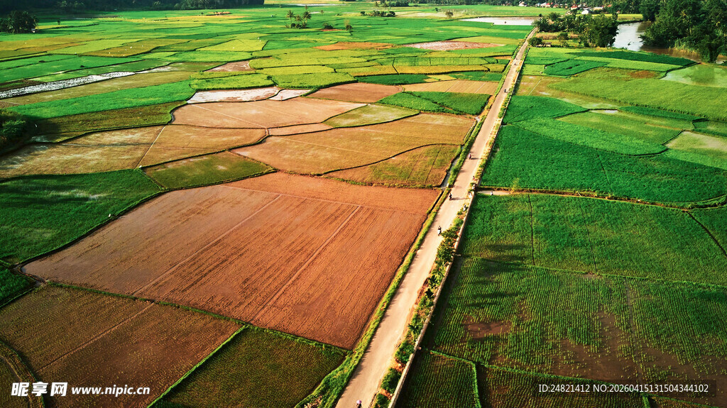 田野风光俯瞰图