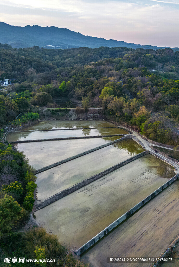 俯瞰乡村规整水田景观