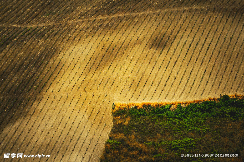 田野中的光影交错美景