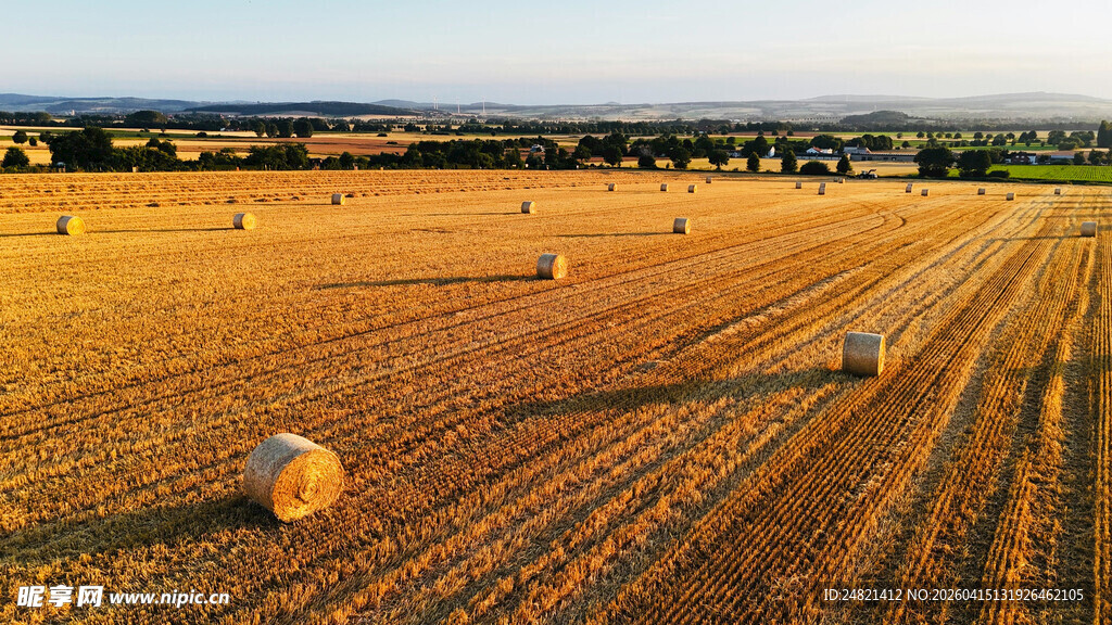 金色田野中的干草堆景观
