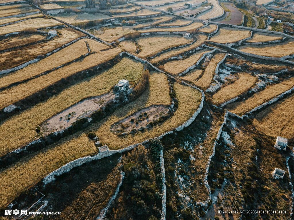 秋日梯田俯瞰美景