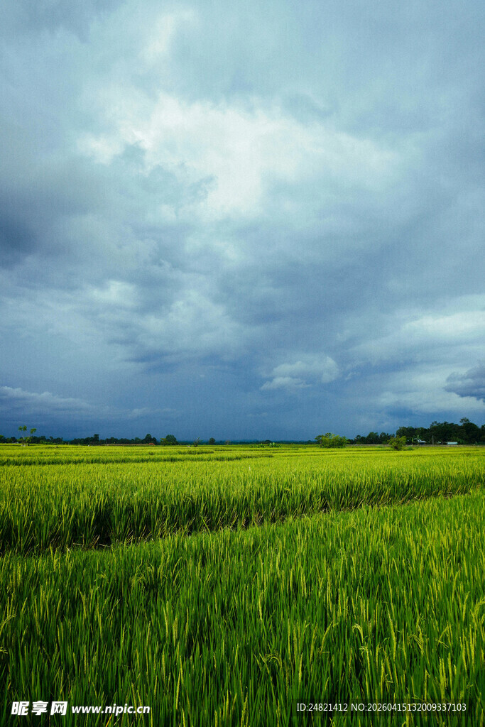 田野上的阴云密布景象