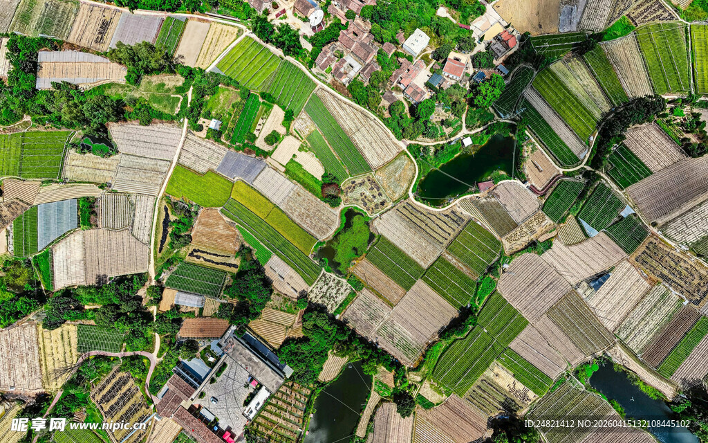 俯瞰多彩农田景观