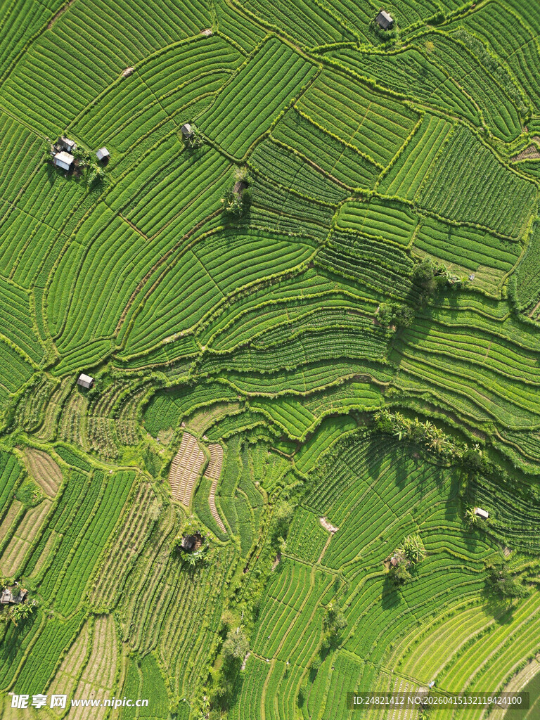 俯瞰翠绿梯田田园风光
