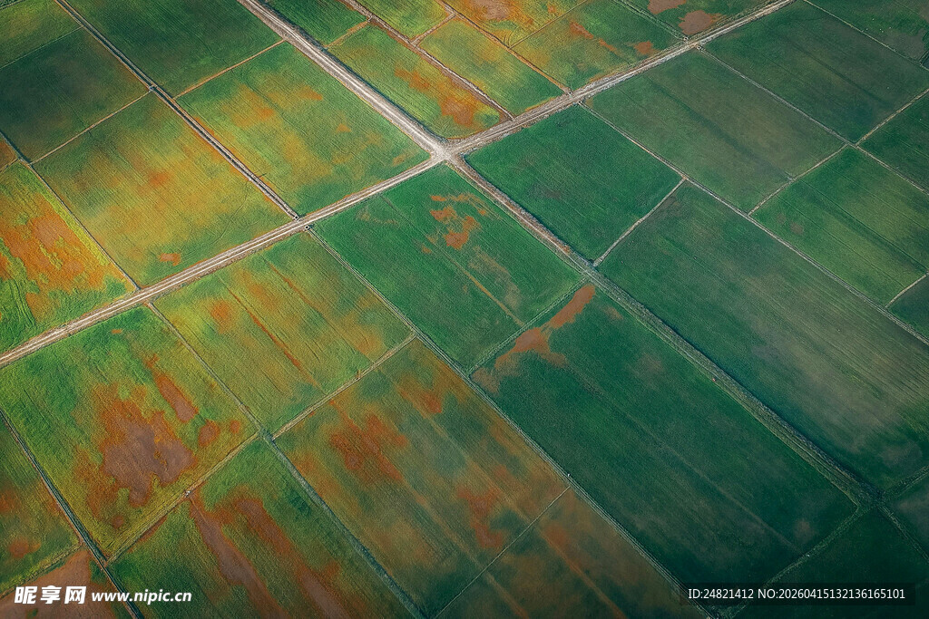 多彩抽象方格纹理画面