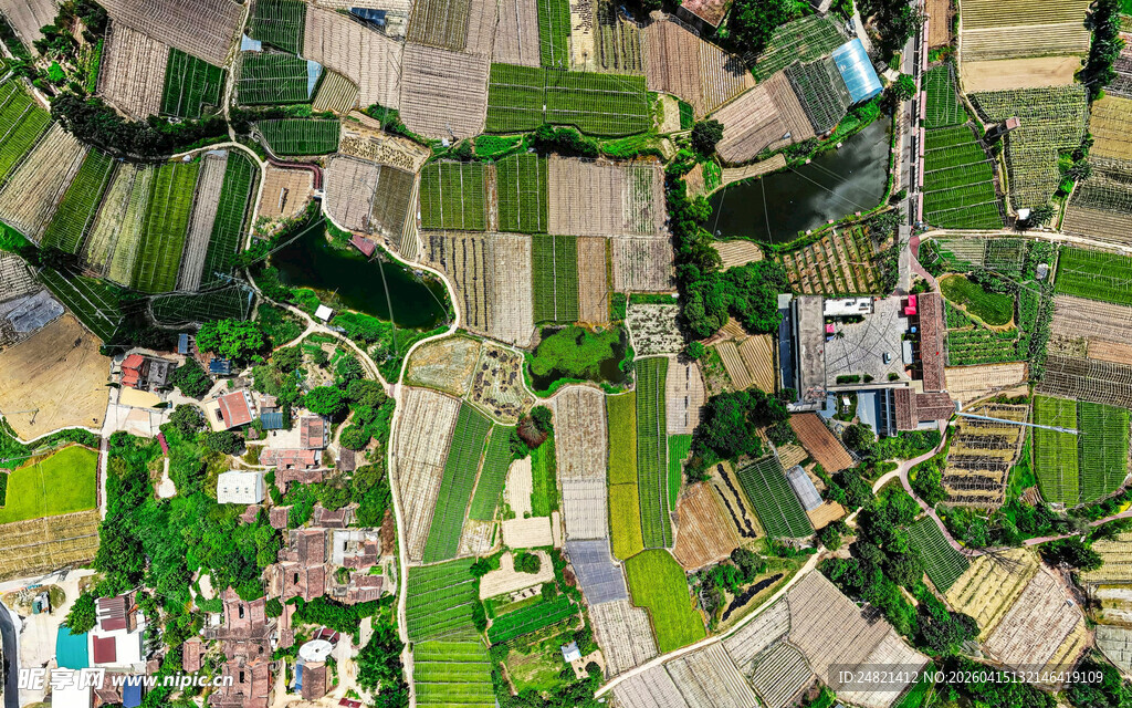 俯瞰多彩田园景观