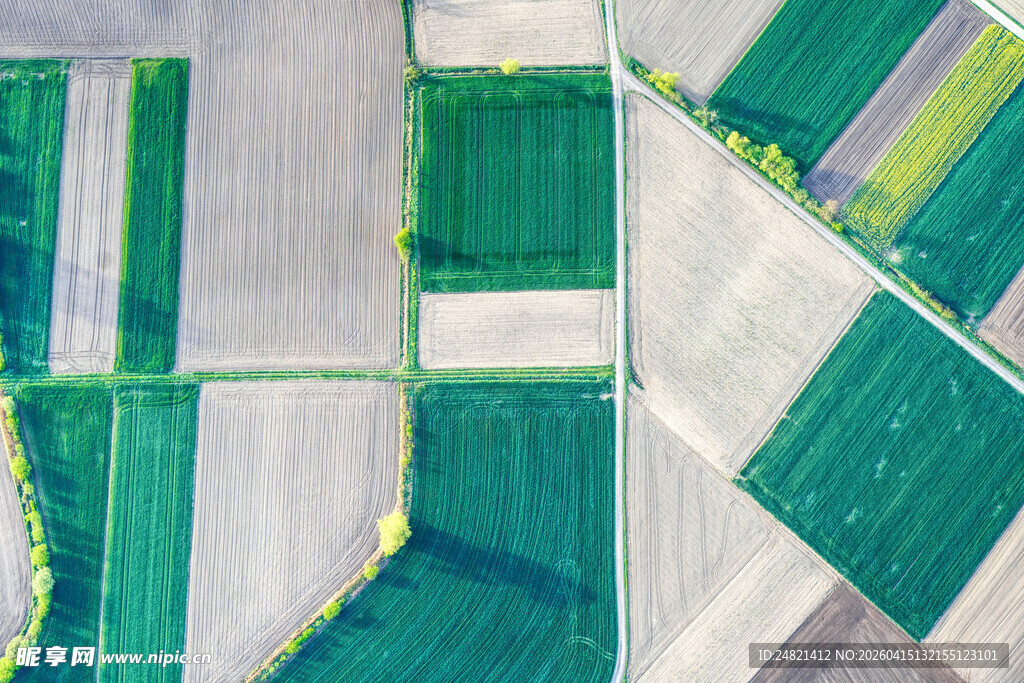 俯瞰多彩农田景观