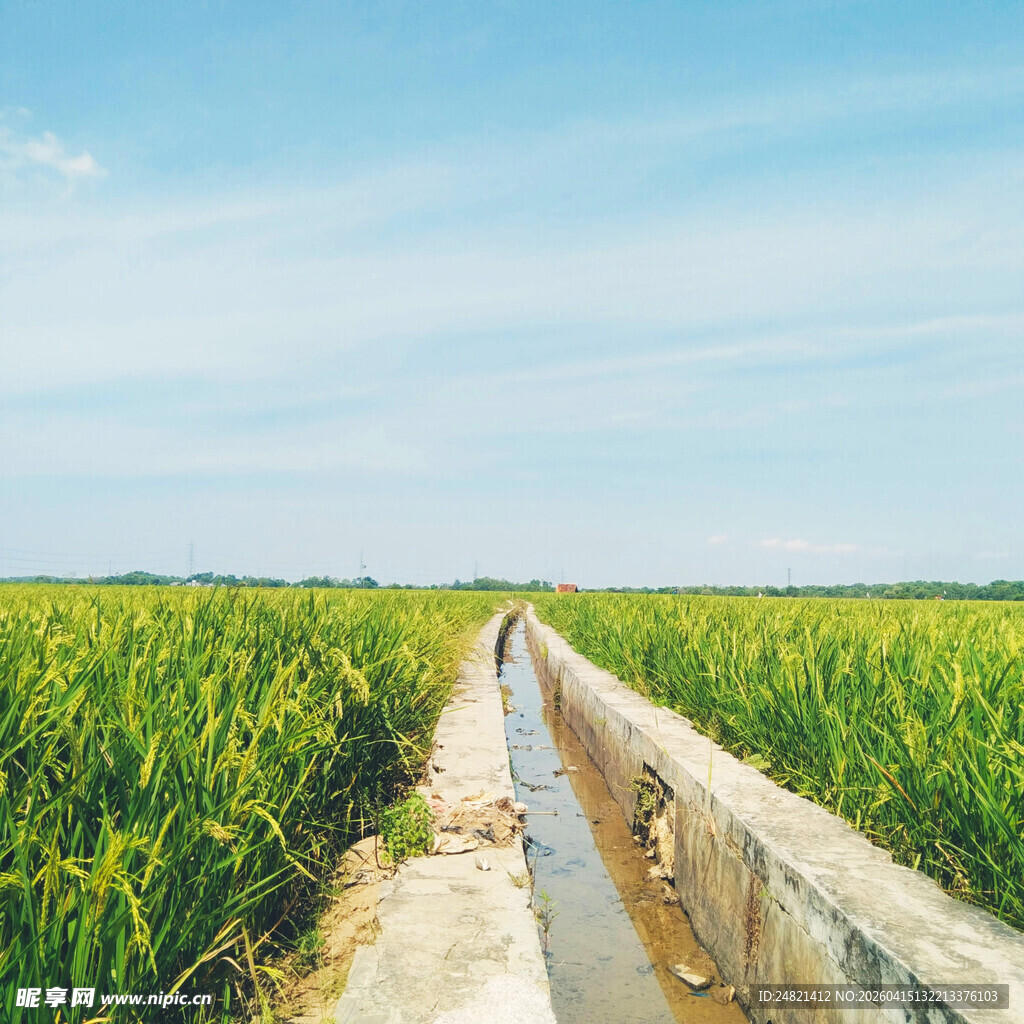 田间水渠