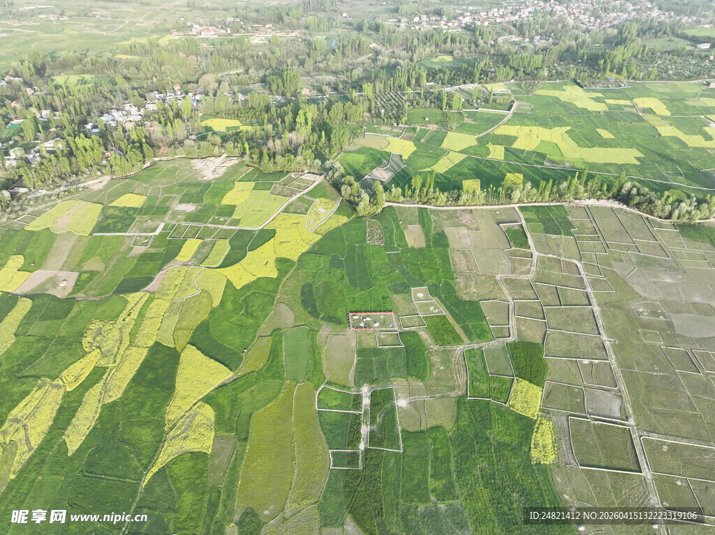 俯瞰多彩农田景观