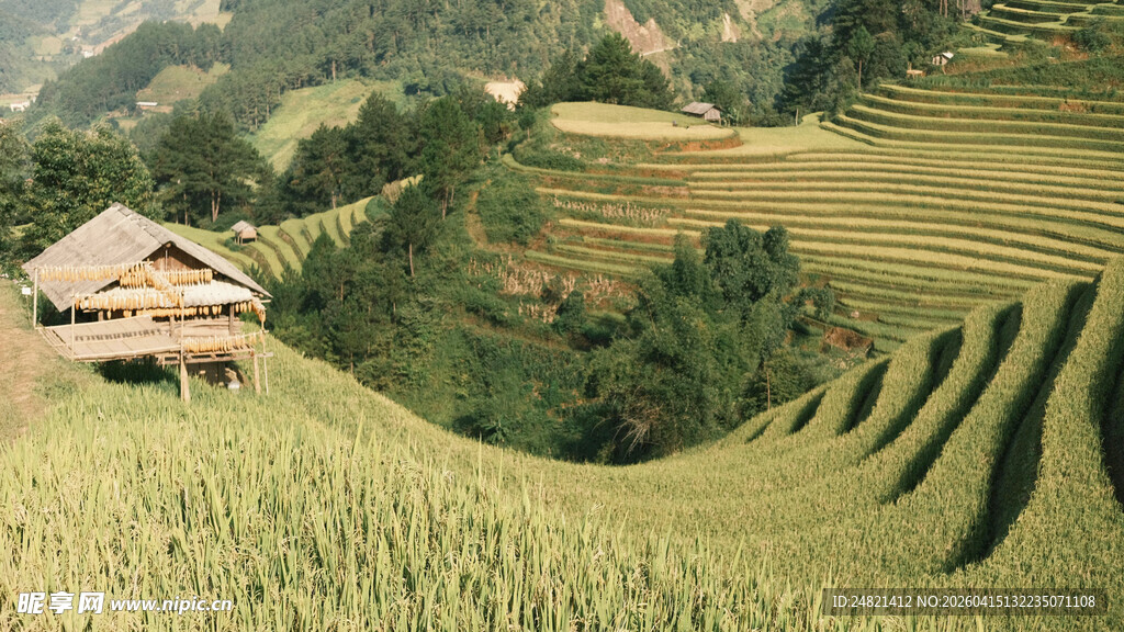 山间梯田与木屋田园风光