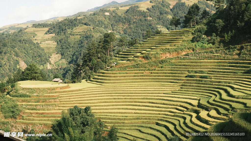 壮丽梯田景观