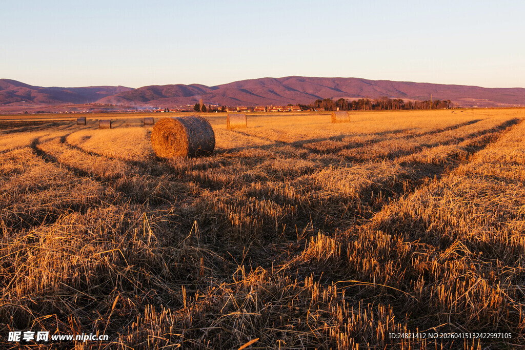 金色田野中的干草垛