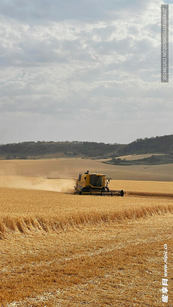金黄麦田中的农机作业