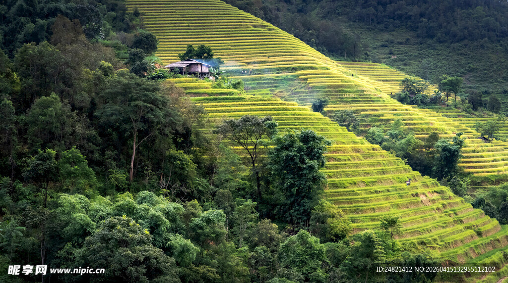 山间梯田美景