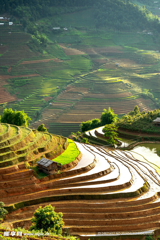 美丽梯田景观