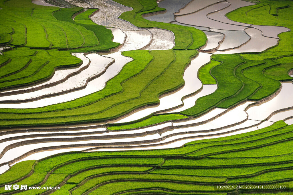 翠绿梯田风光