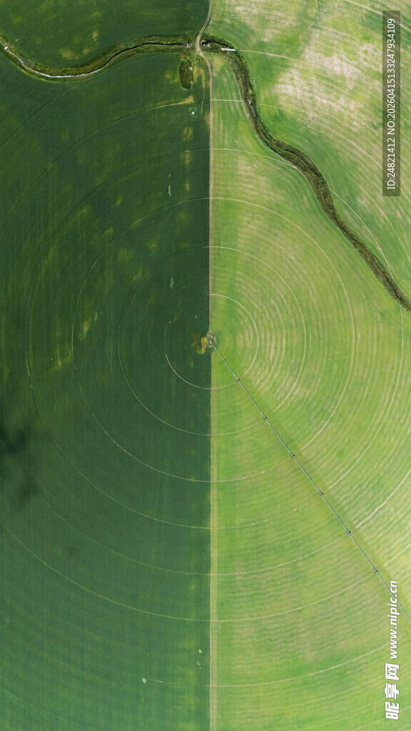 俯瞰绿色田野景观