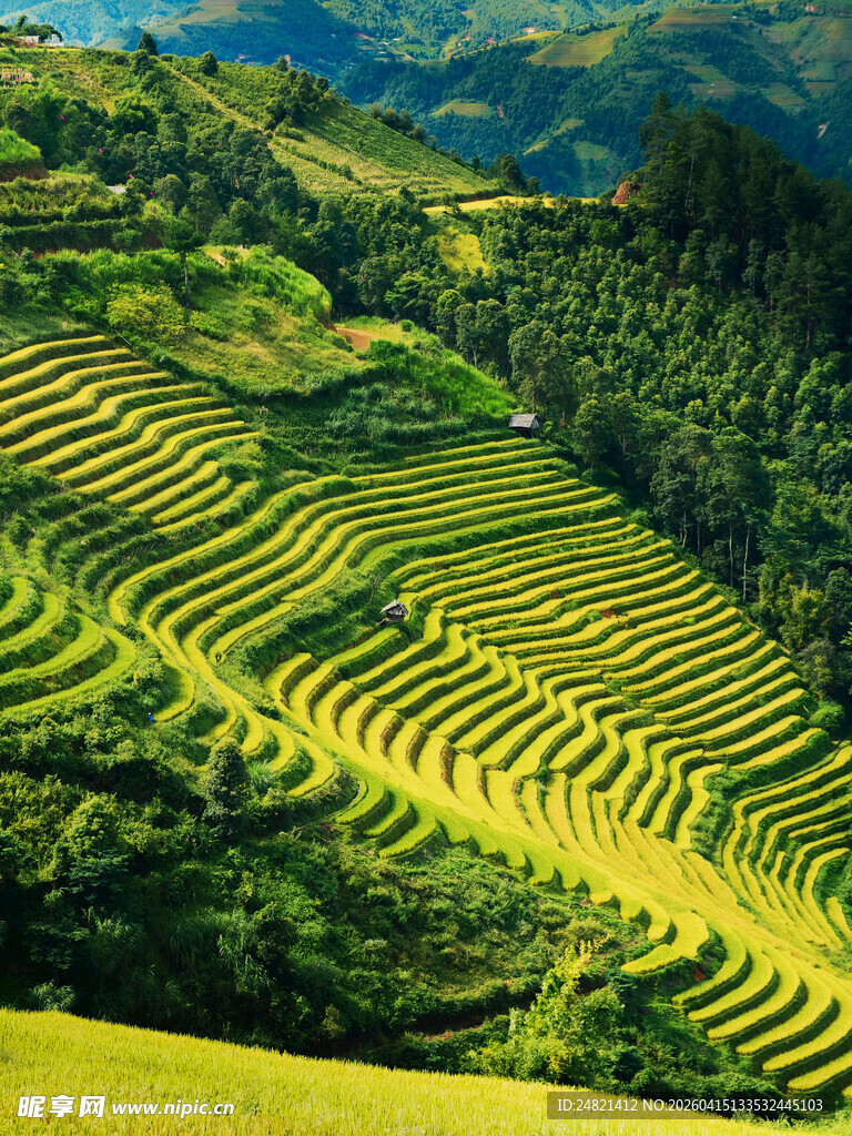 壮丽梯田景观