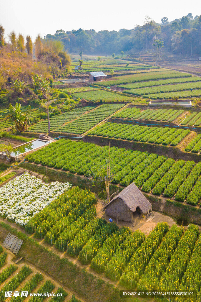 田园风光中的小屋与农田