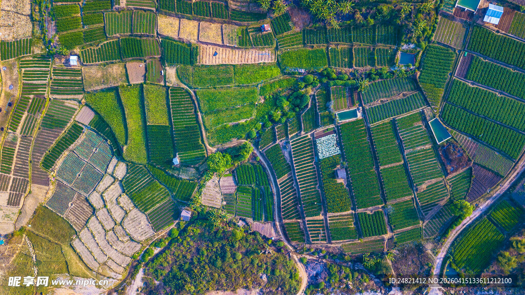 俯瞰多彩梯田田园风光