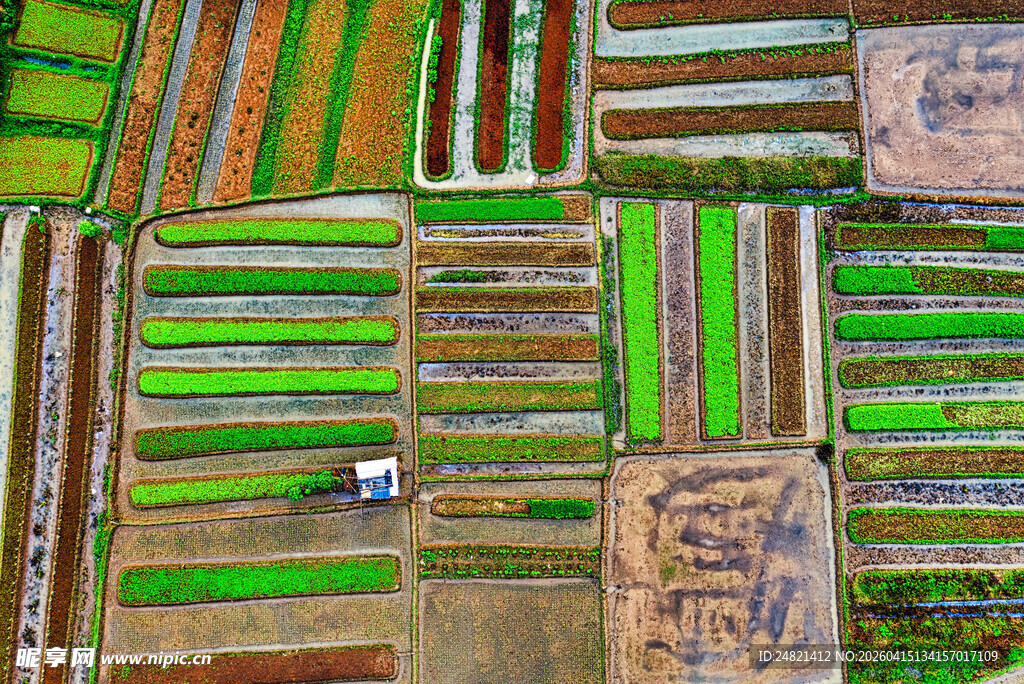 俯瞰多彩农田景观