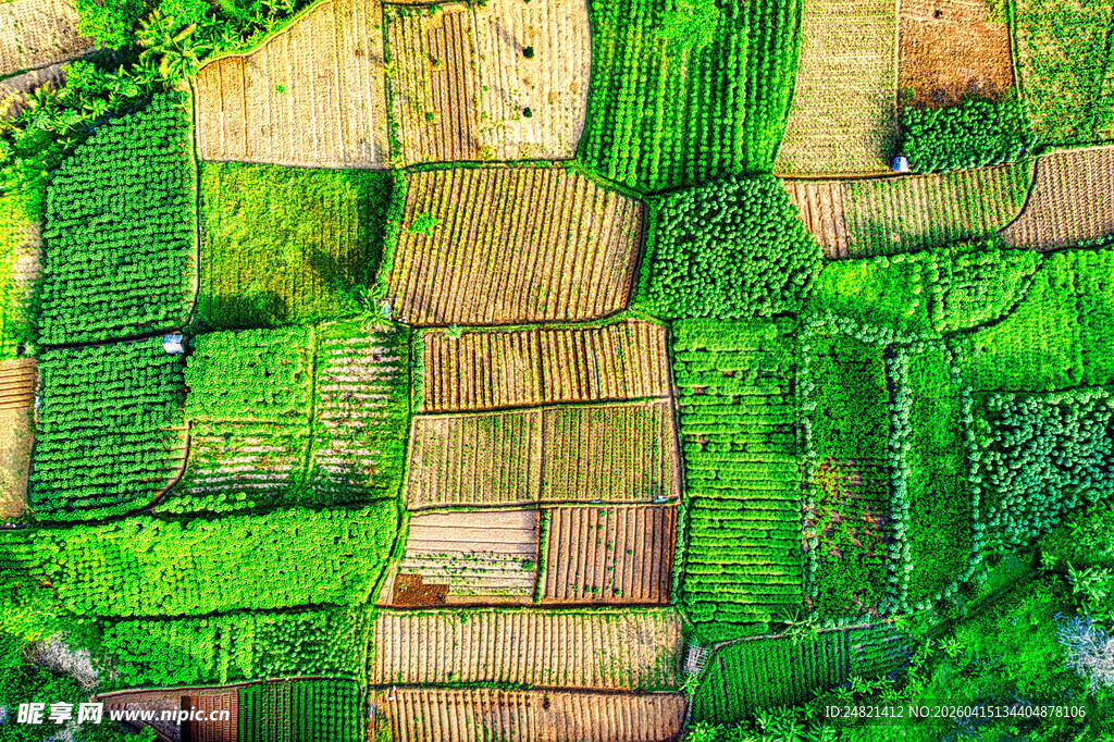 俯瞰多彩农田景观