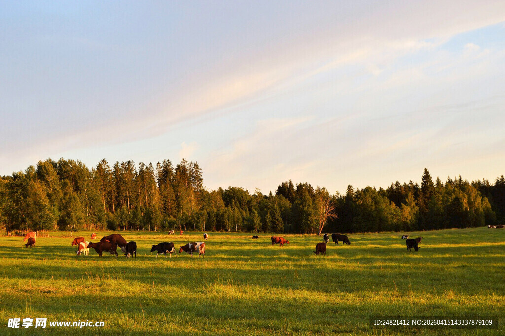 草原牧场景色