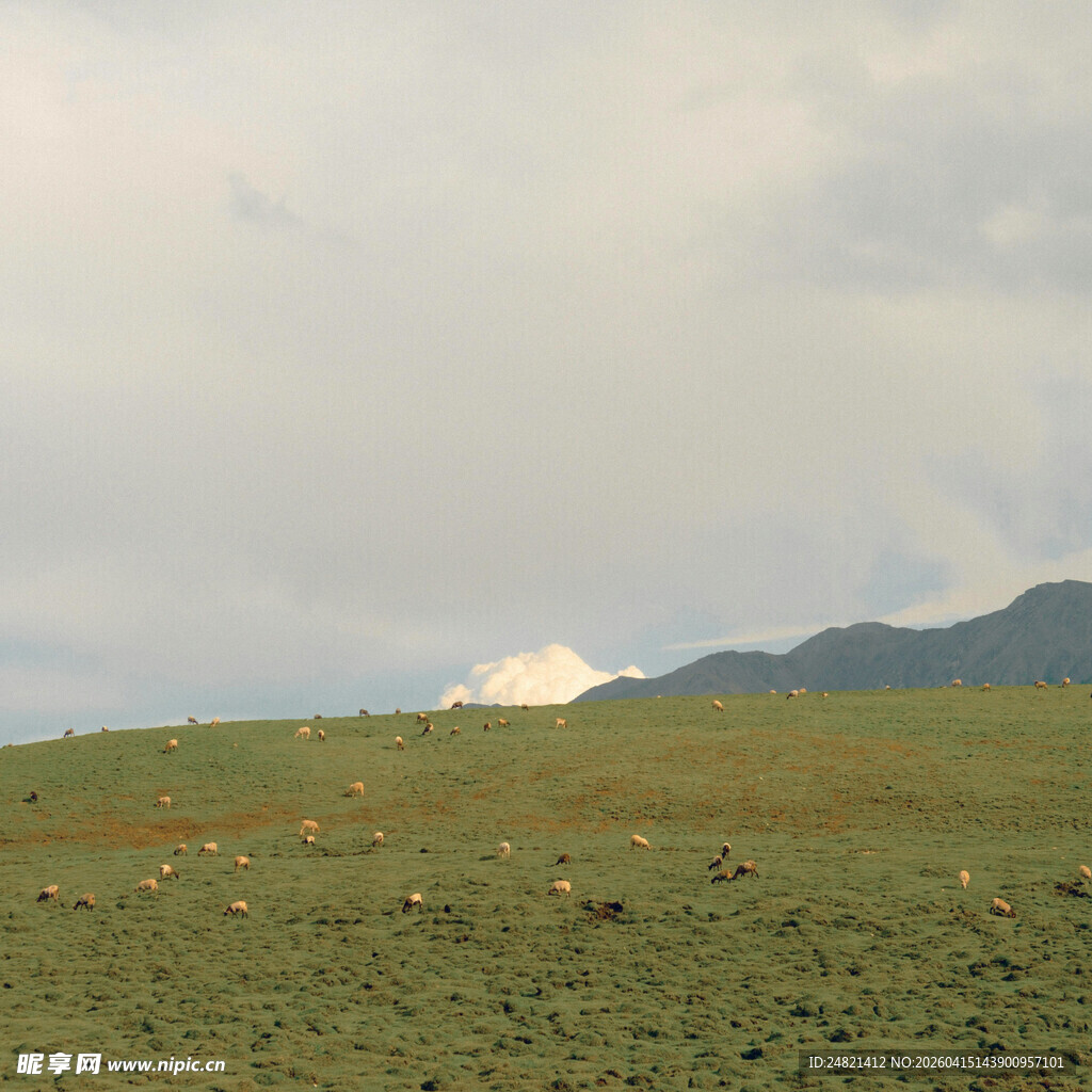 草原远景与山丘
