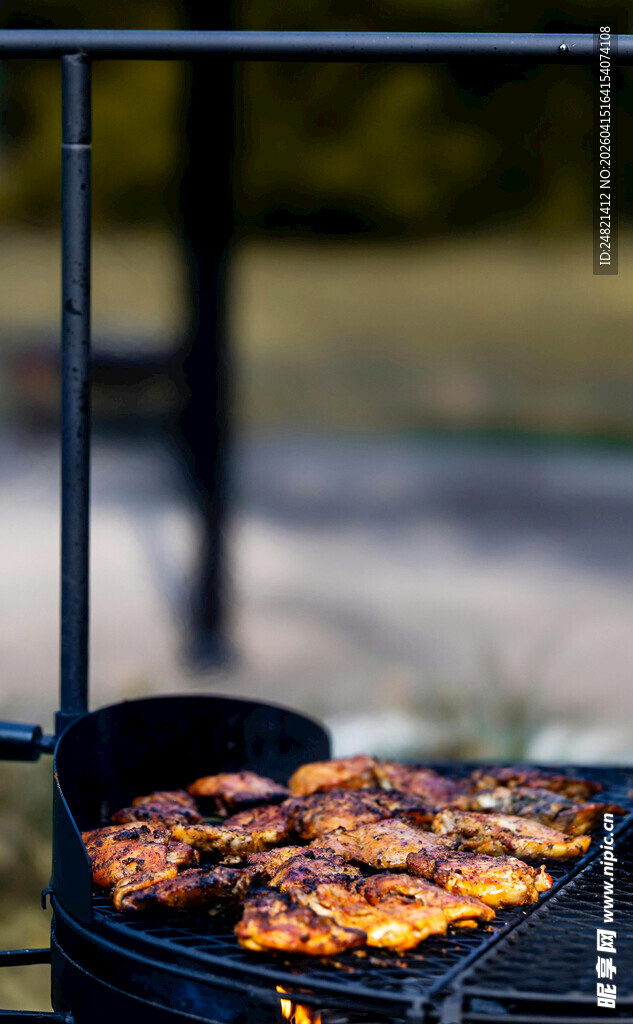 户外烧烤架上的美味烤肉