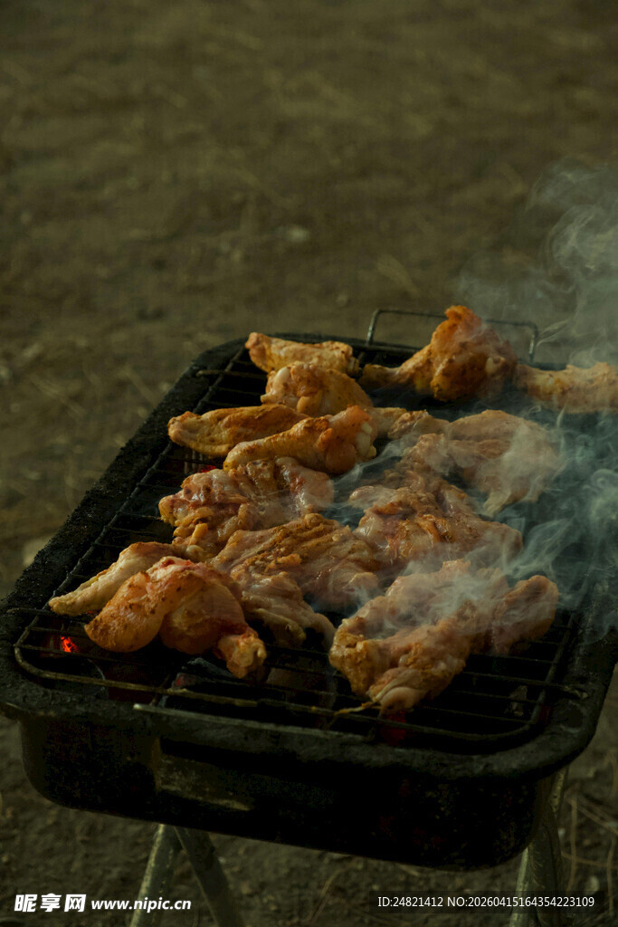 户外烤架上的美味烤鸡翅