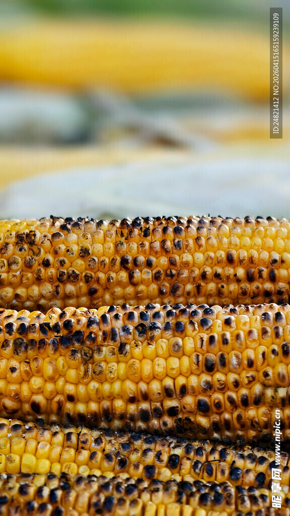 金黄饱满的新鲜玉米