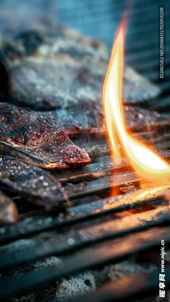 火焰上的美味烤肉