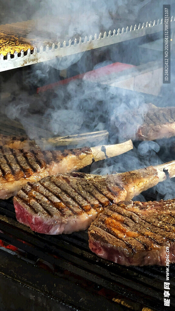 户外烧烤架上的美味烤肉