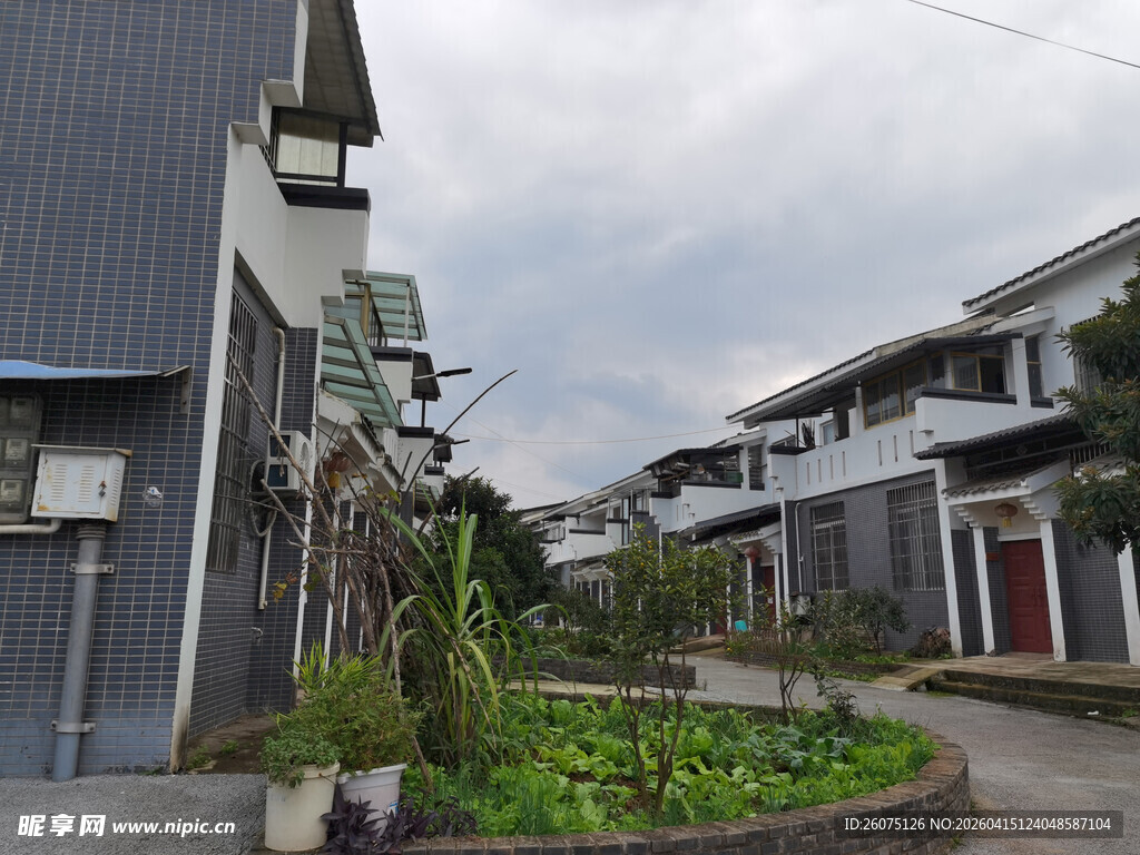 乡村清新民居院落景观