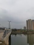城市河畔桥梁与高楼景观