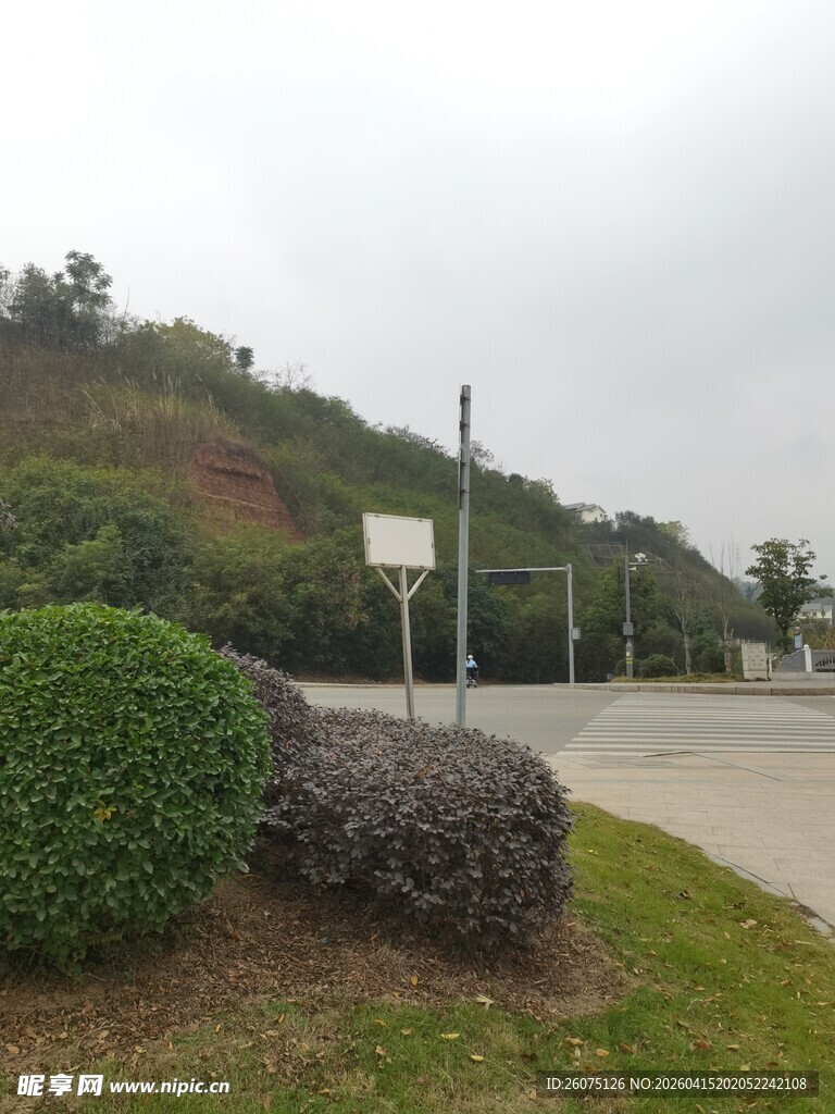 户外道路旁的绿植景观