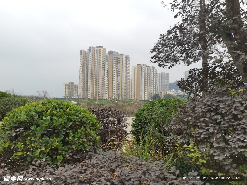 城市绿植与高楼景观