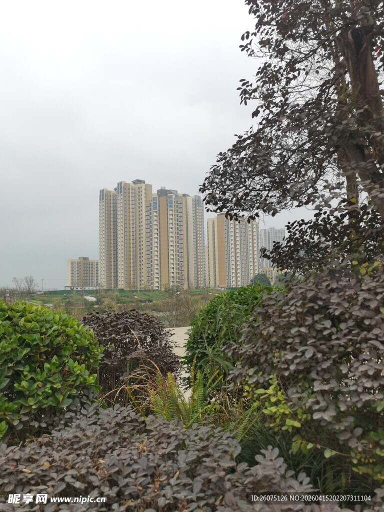 城市绿植旁的高楼景观