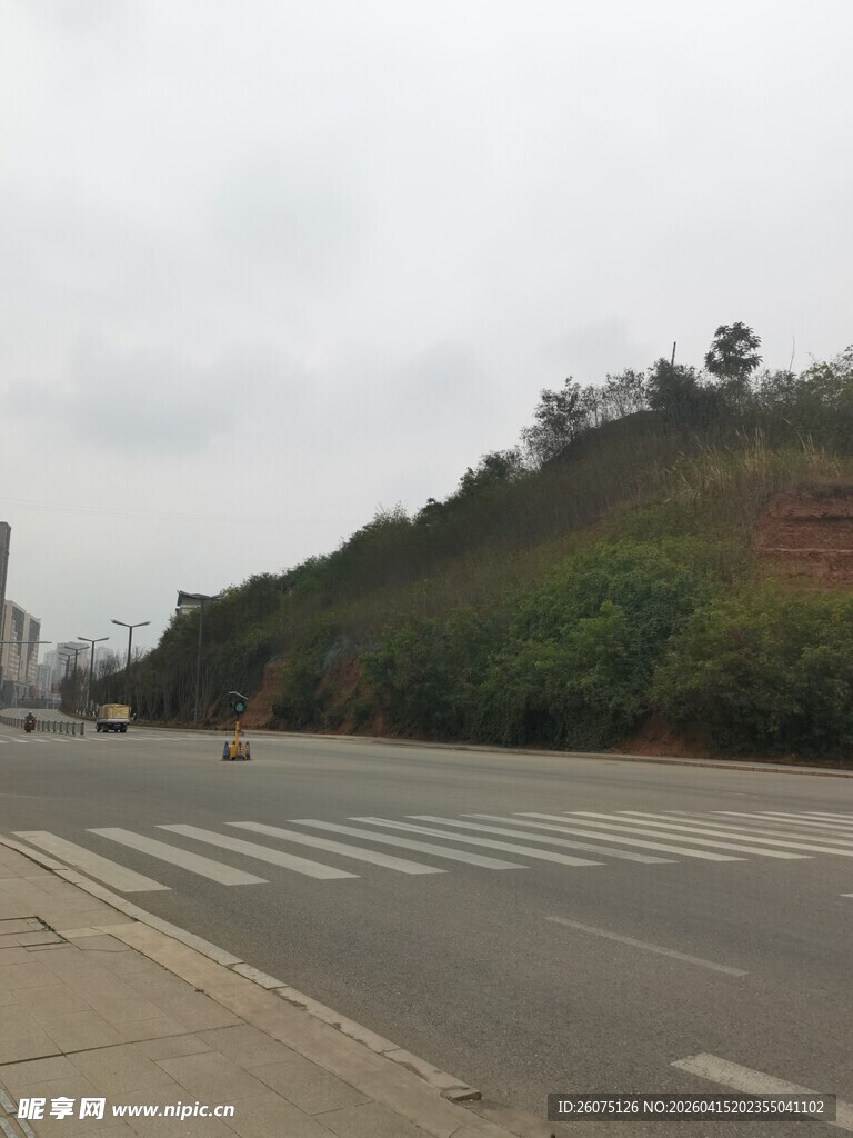 城市道路旁的绿色山坡