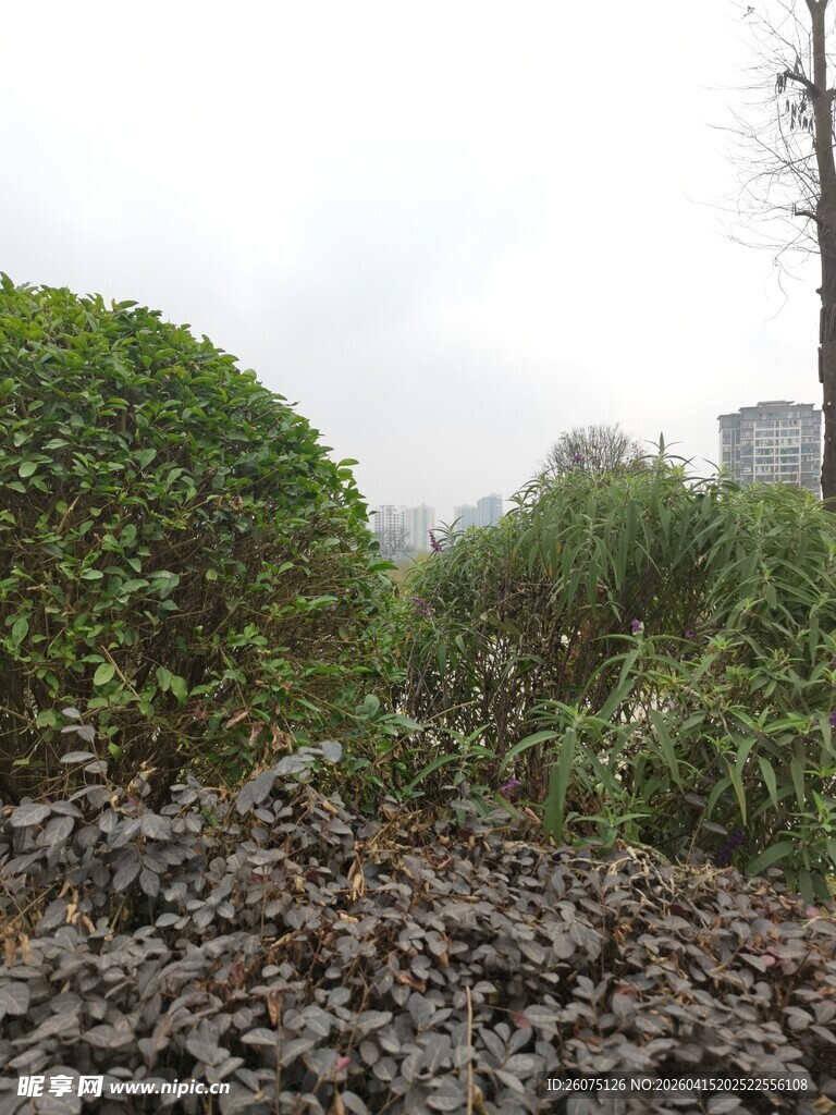 户外碎石旁的绿植景观