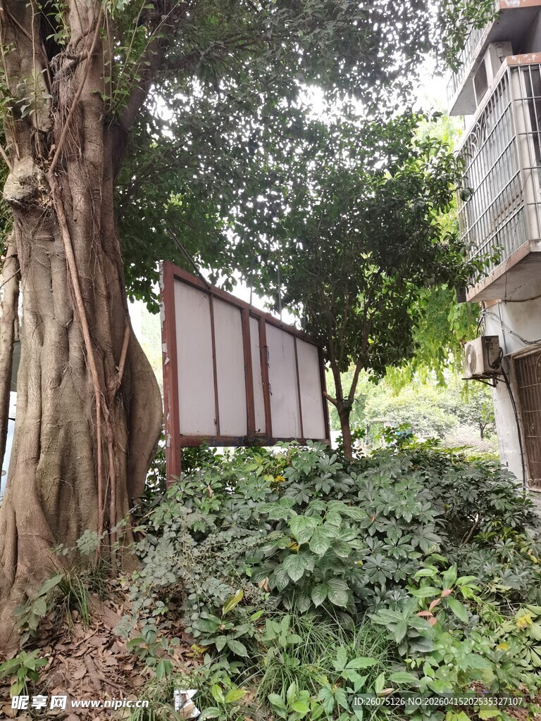庭院角落的绿植与小屋