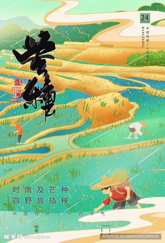 芒种 
