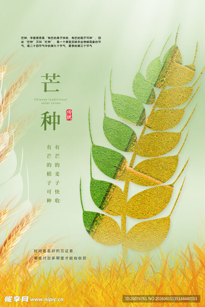 芒种