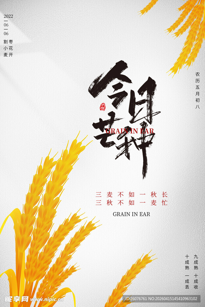 芒种 