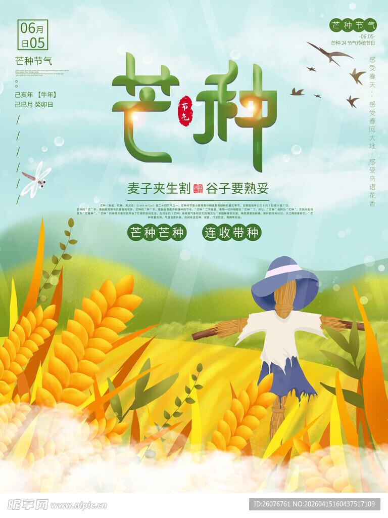 芒种 