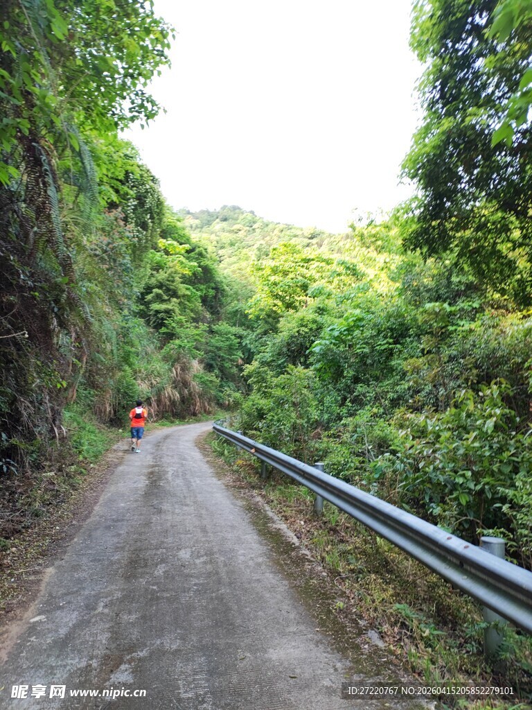 山间蜿蜒公路 绿意盎然
